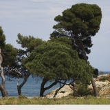 Willies-World-Cycling-Tour-of-Catalunya-004