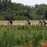 Willies-World-Cycling-Tour-of-Catalunya-029