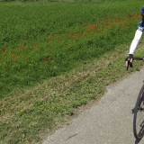 Willies-World-Cycling-Tour-of-Catalunya-061