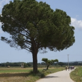 Willies-World-Cycling-Tour-of-Catalunya-073