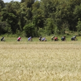 Willies-World-Cycling-Tour-of-Catalunya-165