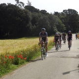 Willies-World-Cycling-Tour-of-Catalunya-202