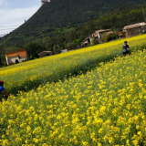 A2_Roadies-Girona_Cycling_Tour-2023-Bikecat_Cycling_Tours-011