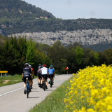 A2_Roadies-Girona_Cycling_Tour-2023-Bikecat_Cycling_Tours-012