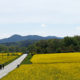 A2_Roadies-Girona_Cycling_Tour-2023-Bikecat_Cycling_Tours-015