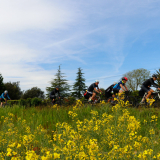 A2_Roadies-Girona_Cycling_Tour-2023-Bikecat_Cycling_Tours-066