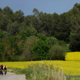 A2_Roadies-Girona_Cycling_Tour-2023-Bikecat_Cycling_Tours-154