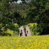 A2_Roadies-Girona_Cycling_Tour-2023-Bikecat_Cycling_Tours-155