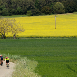 A2_Roadies-Girona_Cycling_Tour-2023-Bikecat_Cycling_Tours-157