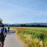 A2_Roadies-Girona_Cycling_Tour-2023-Bikecat_Cycling_Tours-168