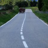 004-A2-Roadies-the-Fringe-Tour-Day-0-016