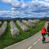 009-A2-Roadies-the-Fringe-Tour-Day-0-042