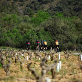 036-A2-Roadies-the-Fringe-Tour-Day-1-060