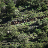 037-A2-Roadies-the-Fringe-Tour-Day-1-065