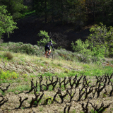 040-A2-Roadies-the-Fringe-Tour-Day-1-079