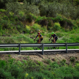 046-A2-Roadies-the-Fringe-Tour-Day-1-092