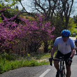 071-IMG_20250407_123524