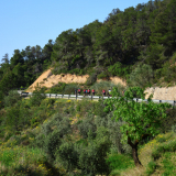 092-A2-Roadies-the-Fringe-Tour-Day-3-001