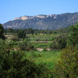 102-A2-Roadies-the-Fringe-Tour-Day-3-022