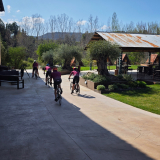 116-IMG_20250408_164515