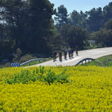 125-A2-Roadies-the-Fringe-Tour-Day-4-016