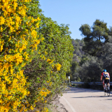 148-IMG_20250410_103452