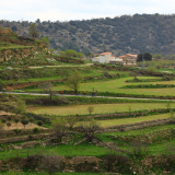 184-A2-Roadies-the-Fringe-Tour-Day-6-041