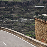 199-IMG_20250411_125806