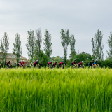 Costa_Brava-Cycling_Tour_2025-175