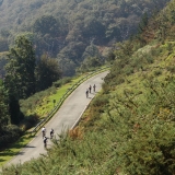 Bikecat-Best-of-2017-125
