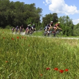 Bikecat-Custom-Cycling-Tours-Best-of-2016-035