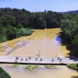 Bikecat-Custom-Cycling-Tours-Best-of-2016-072