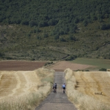 Bikecat-Custom-Cycling-Tours-Best-of-2016-081