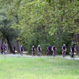 Bikecat-Custom-Cycling-Tours-Best-of-2016-128