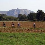 Bikecat-Custom-Cycling-Tours-Best-of-2016-220