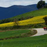Bikecat-Custom-Cycling-Tours-Best-of-2019-12