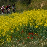 Bikecat-Custom-Cycling-Tours-Best-of-2019-13