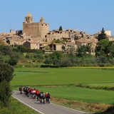 Bikecat-Custom-Cycling-Tours-Best-of-2019-26