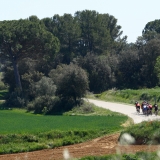 Bikecat-Custom-Cycling-Tours-Best-of-2019-29