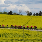 Bikecat-Custom-Cycling-Tours-Best-of-2019-3