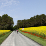 Bikecat-Cycling-Tours-Best_of_2022-023