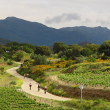 Bikecat-Cycling-Tours-Best_of_2022-036