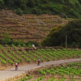 Bikecat-Cycling-Tours-Best_of_2022-037