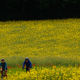 Bikecat-Cycling-Tours-Best_of_2022-039