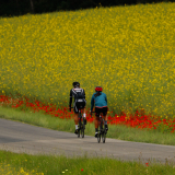 Bikecat-Cycling-Tours-Best_of_2022-040