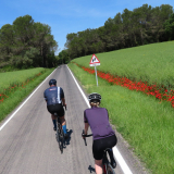 Bikecat-Cycling-Tours-Best_of_2022-048