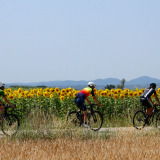 Bikecat-Cycling-Tours-Best_of_2022-139