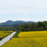 Bikecat-Cycling-Tours-Best_of_2023-040