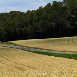 Bikecat-Cycling-Tours-Best_of_2023-102