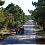 Bikecat-Cycling-Tours-Best_of_2023-189